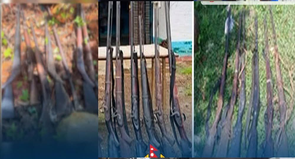 दाङका वन क्षेत्रमा विशेष अभियान, बेवारिसे अवस्थामा ५५ नाल भरुवा बन्दुक बरामद