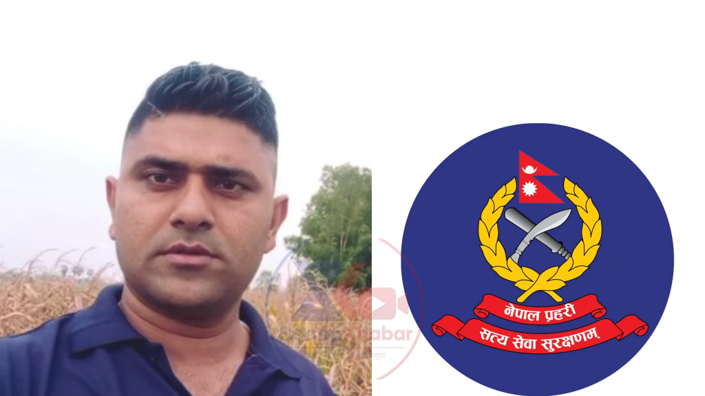 गस्ती निस्कनुअघि नै तस्करलाई खबर, बलिरामपुर–मुसहरवा र छतवामा प्रहरीकै ‘लाइन’मा दिनरात तस्करी !